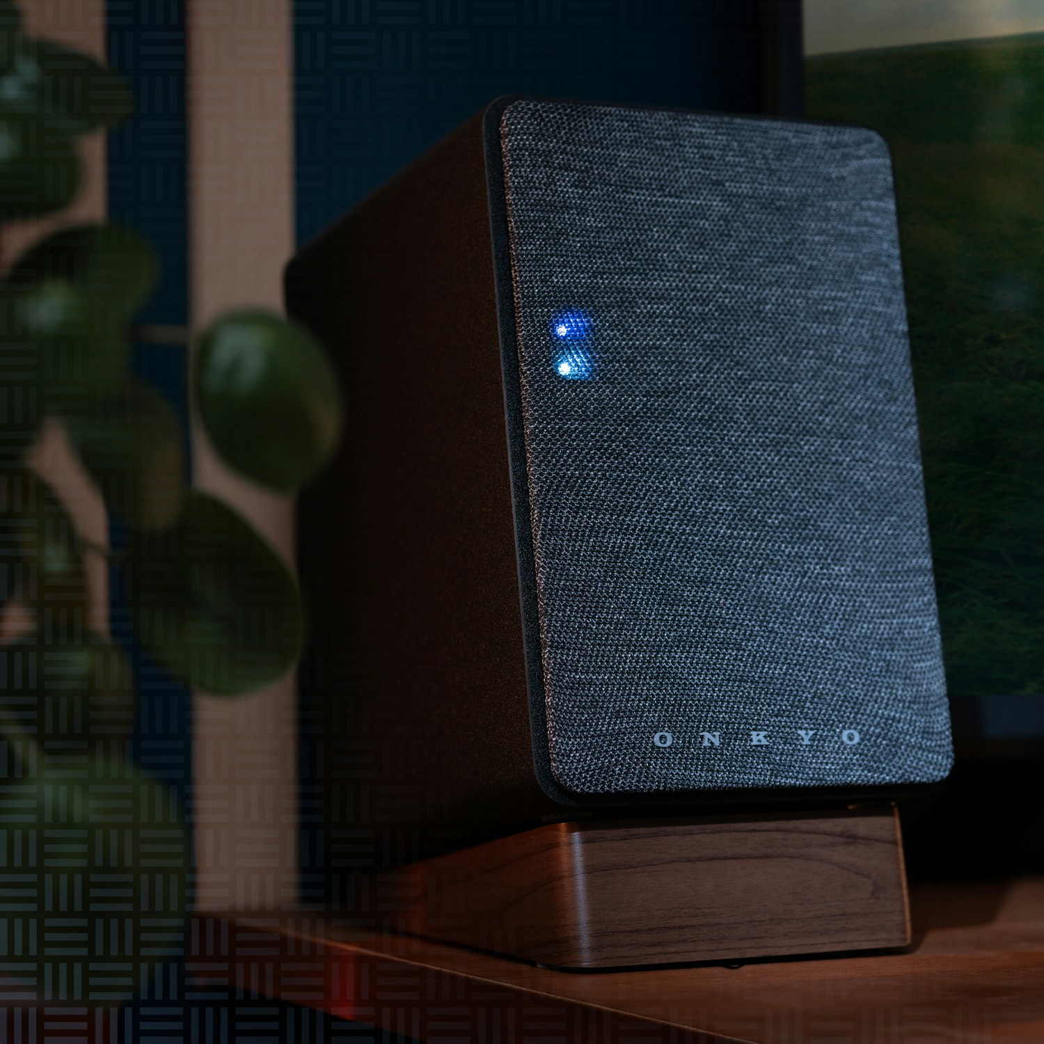 Onkyo Creator Closeup up of GX DB10 with plant behind 2000x2000