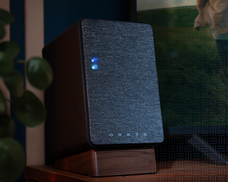 Onkyo Creator Closeup up of GX DB10 with plant behind 2000x1333